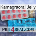 Kamagraoral Jelly new14